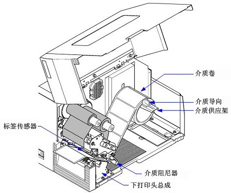 (bio)bʾD